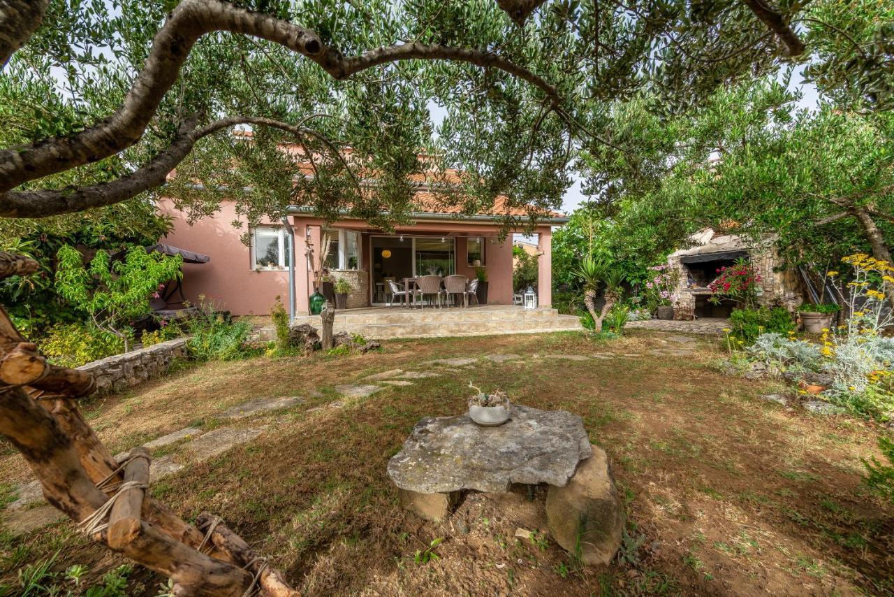 Villa Natura Ζαντάρ Εξωτερικό φωτογραφία
